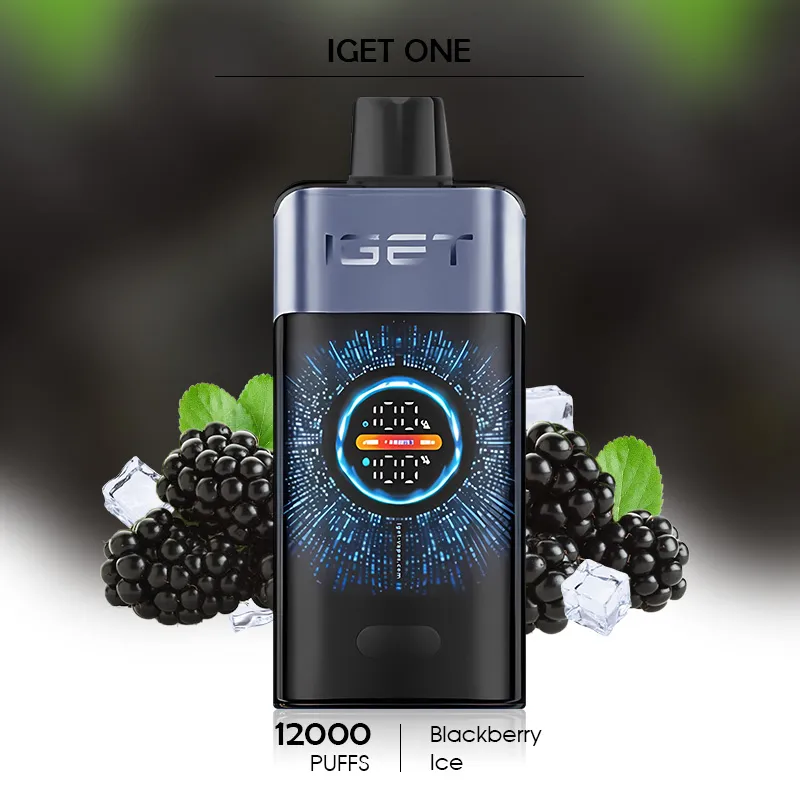 Unveiling the IGET ONE 12000: A Comprehensive Review